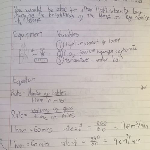 Year9-Science-Dominik